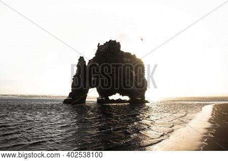 Panoramic Sunrise View Of Hvitserkur Dragon Rock Formation Petrified Basalt Sea Stack Vatnsnes Penin