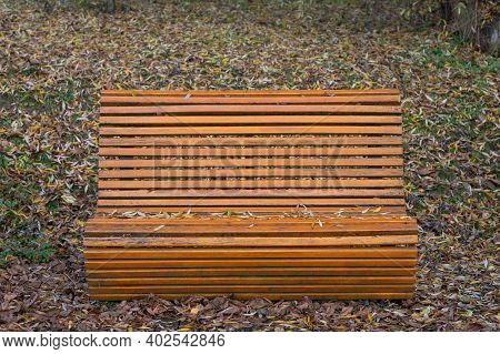 Autumn Bench In The Park And Leaf