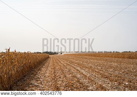 Harvesting Ripe Dry Corn In The Field With A Green Harvester