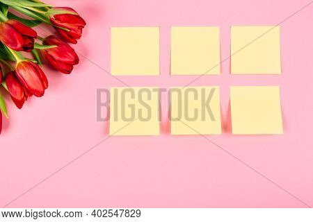Big Holiday Red Tulip Bouquet And Clean Stickers On A Pink Background With Copy Space. Business Conc
