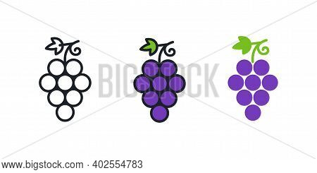 Grapes. Grape Icon. Linear Color Icon, Contour, Shape, Outline. Thin Line. Modern Minimalistic Desig
