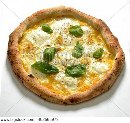 Just baked Mozzarella pizza Napoletan stile with yellow tomato and basil