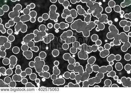 Nice Design A Lot Of Organic Cells Digital Art Texture Illustration