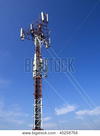 Umiejscowienie komórek