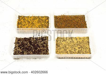 Planting Seeds In Microgreening Trays. Seed Germination. Growing Microgreens.