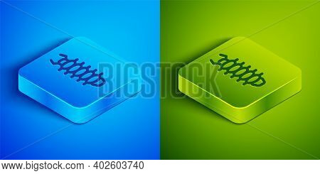 Isometric Line Centipede Insect Icon Isolated On Blue And Green Background. Square Button. Vector
