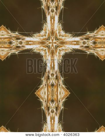 braun Pflanze mit Hintergrundbeleuchtung