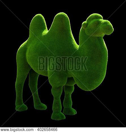 Topiary In The Shape Of A Beautiful Camel Isolated On Black. The Camel Is Made From Artificial, Plas