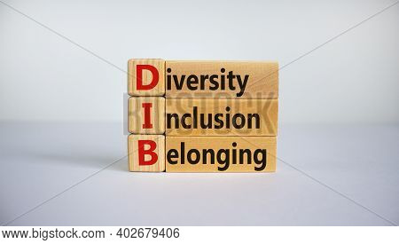 Dib, Diversity, Inclusion And Belonging Symbol. Wooden Blocks With Words 'dib, Diversity, Inclusion 