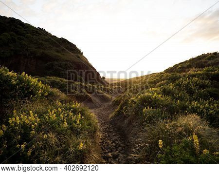 Panorama Sunset View Of Black Sand Ocean Coast Karekare Beach West Auckland North Island New Zealand