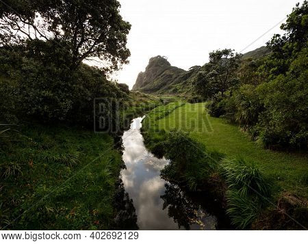 Company Stream River Flowing Through Green Nature Landscape Karekare Falls Beach Waitakere Ranges Au