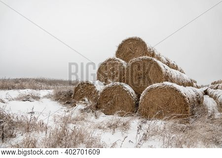 Haystacks Prepared For Animal Feed In Winter. Hay Storage In Winter.