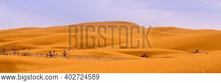 Bend Of The Ridge Of A Sand Dune In The Desert