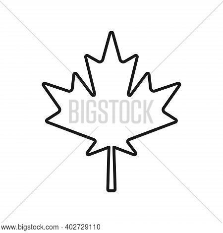 Maple Leaf Vector Shape Icon. Forest And Wood Symbol Sign. Nature Tree Logo. Canada Label. Clip-art 