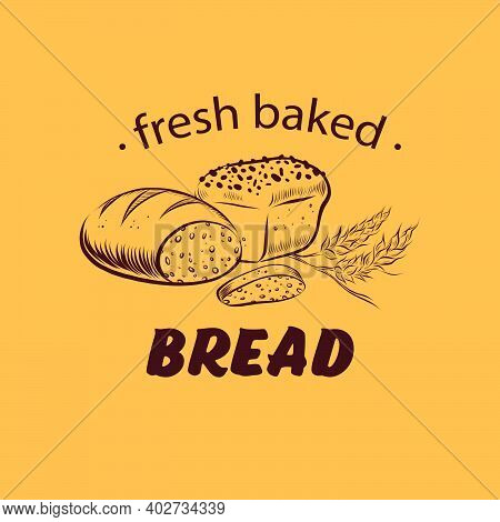 Bakery House Logo Design With Hand Drawn Fresh Baked Bread Loaf, Slice And Wheat Illustration. Vecto