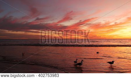 California Summertime Beach Aesthetic, Golden Sunset. Vivid Dramatic Clouds Over Pacific Ocean Waves