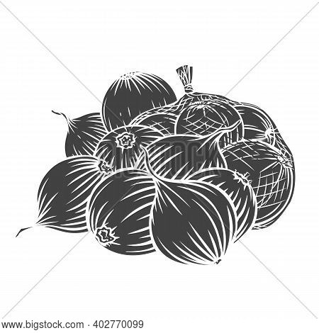 Onion Bulbs, Leek Glyph Engraved Monochrome Vector Illustration In Retro Style. Bunch Of Onions, Iso