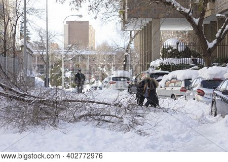 Madrid, Spain - January 10, 2021: A Young Man Cuts The Fallen Branches Of A Tree Broken By Snow, To 