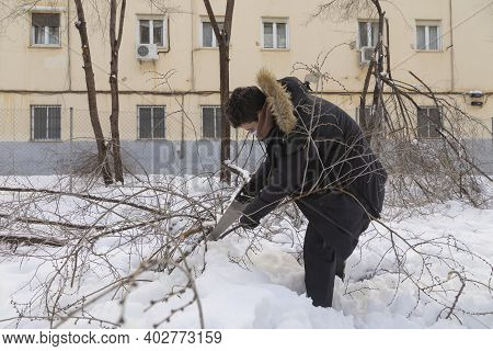 Madrid, Spain - January 10, 2021: A Young Man Cuts The Fallen Branches Of A Tree Broken By Snow, To 