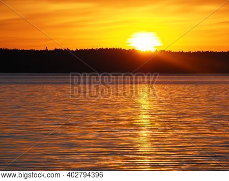 Golden Water On A Lake During Sunrise