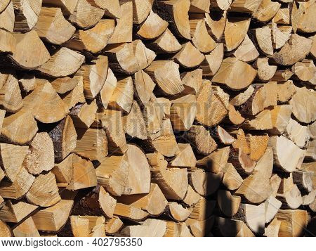 Abstract Like Woodpile Texture, Different Kind Of Trees