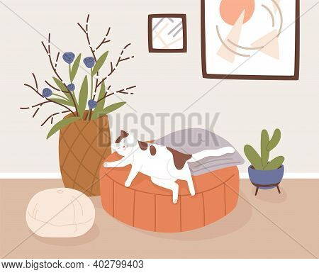 Comfy Living Room Interior With Sleeping Cat, Potted Houseplants And Home Decorations. Cute Pet Lyin