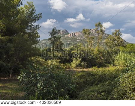 Lush Green Vegetation Forest With View Of Limestone Rock Monte Oro And Mountains In Region Of Oglias