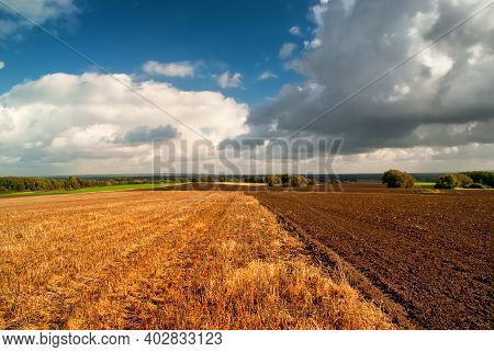 View Of A Crop Field On A Beautiful Summer Day. Yellow Wheat
