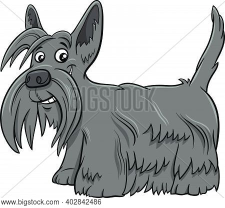 Cartoon Illustration Of Scottish Terrier Purebred Dog Animal Character