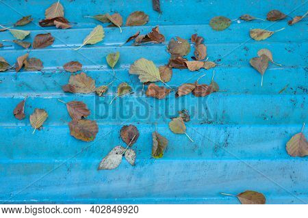 Blue Background Sprinkled With Leaves From Trees By The Lake