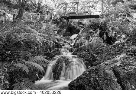 Canonteign Falls In Dartmoor