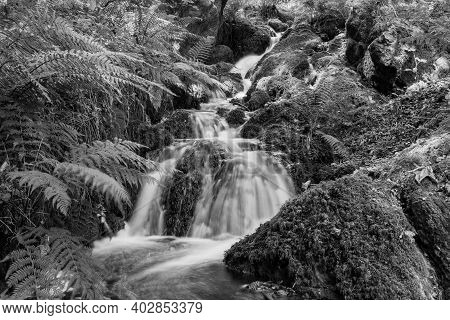 Canonteign Falls In Dartmoor