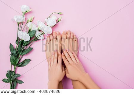 Top View Of Groomed Female Hands And Feet Near White Eustoma Flowers On Pink Background