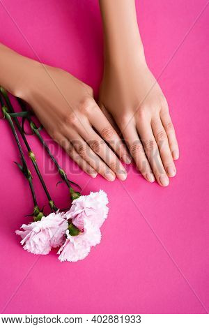 Top View Of Female Hands With Nails Covered With Shiny Enamel Near Carnation Flowers On Pink Backgro