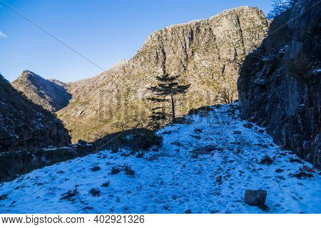 Winter landscape with snow in mountains of Serra do Geres natural park, Portugal