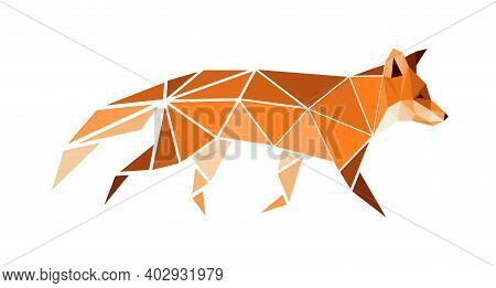 Vector Fox In Low Poly Style. Digital Art