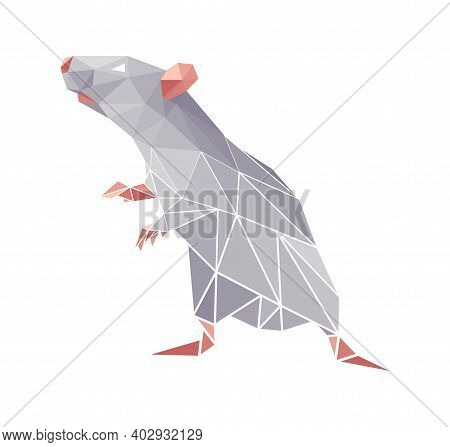 Vector Rat In Low Poly Style. Digital Art