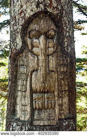 Tree Carved By Native Tlingit Indians Along A Trail On Top Of Mt. Roberts In Juneau, Alaska, Usa