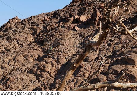 Hiking In Evening In Shehoret Mountains, South Israel