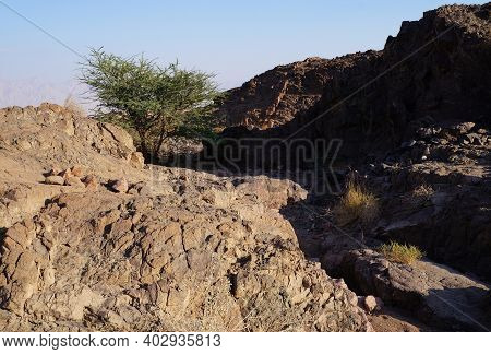 Hiking In Evening In Shehoret Mountains, South Israel