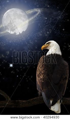 Scena magica Aquila