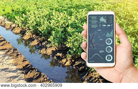 A Farmer Holds A Phone With Infographics In His Hand Against The Background Of A Water Filled Irriga