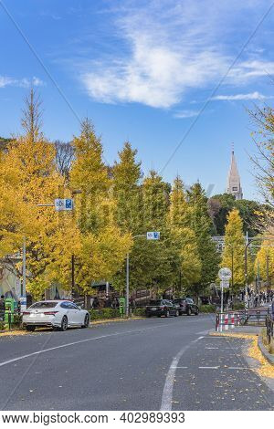 Tokyo, Japan - December 10 2019: Beautiful Autumn Colors Of Japanese Maple Tree Iroha Momiji In Hara