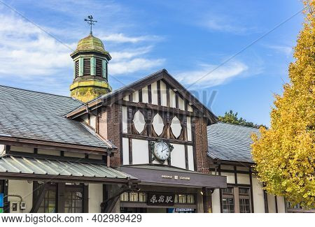 Tokyo, Japan - December 10 2019: Beautiful Autumn Colors Of Japanese Maple Tree Iroha Momiji At Hara