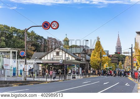 Tokyo, Japan - December 10 2019: Beautiful Autumn Colors Of Japanese Maple Tree Iroha Momiji At Hara