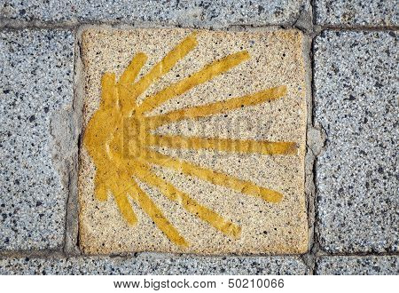 Symbol Of The Santiago's Road