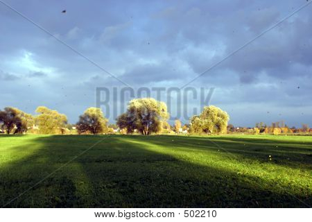 Landscape1