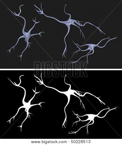 Nerve cells with alpha mask for easy extraction