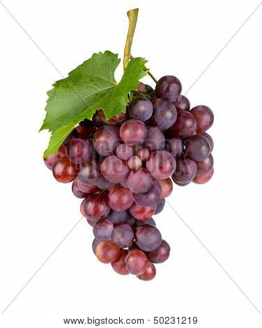 Fresh Grape.