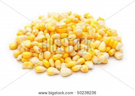 Corn On A White Background